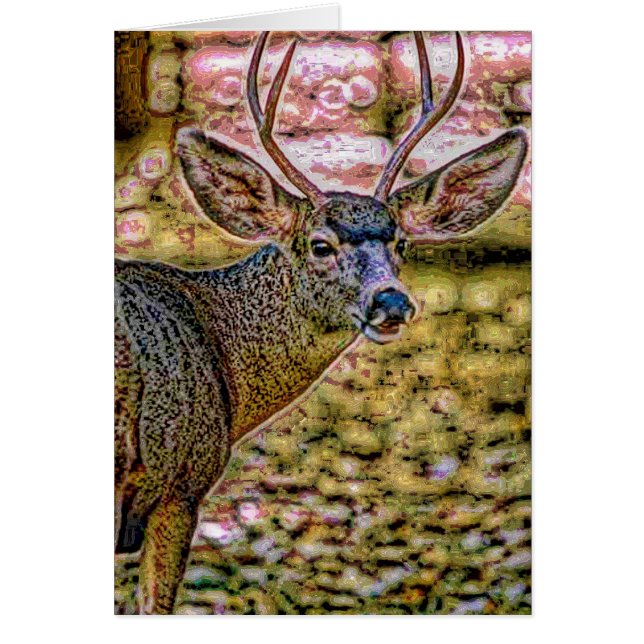 Animal29 Hälsningskort (Framsidan)