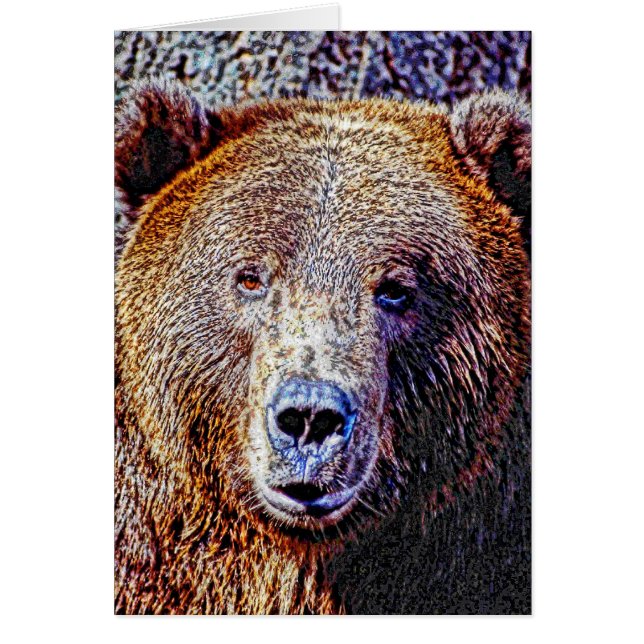 Animal38 Hälsningskort (Framsidan)