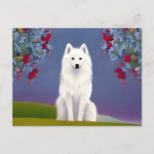 Animal American Eskimo Vykort