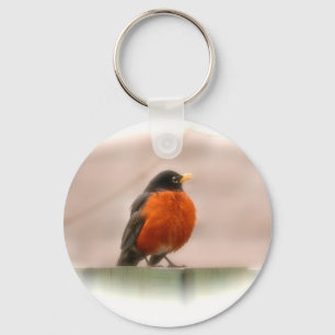 Animal Bird American Robin Nyckelring