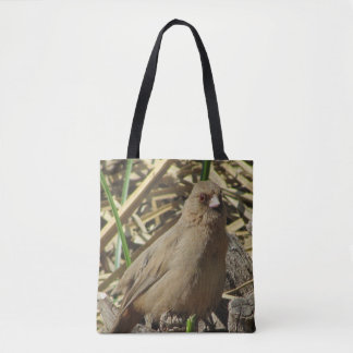 Animal Brown Towhow Bird Photo Nature Tygkasse