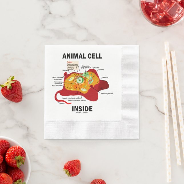 Animal Cell Inside Eukaryote Diagram Pappersservett (Insitu)