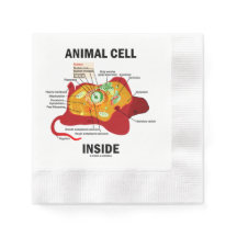Animal Cell Inside Eukaryote Diagram