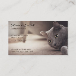 Animal de compagnie, beau chat. visitkort