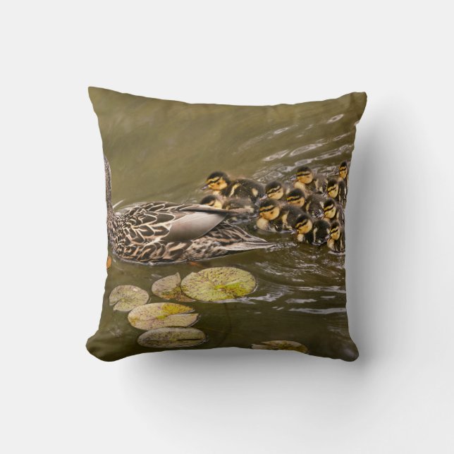 Animal - Ducks - Swim like a duck Kudde (Framsida)