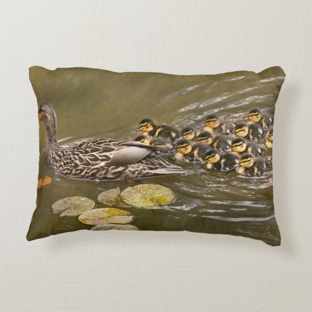 Animal - Ducks - Swim like a duck Prydnadskudde (Baksidan)