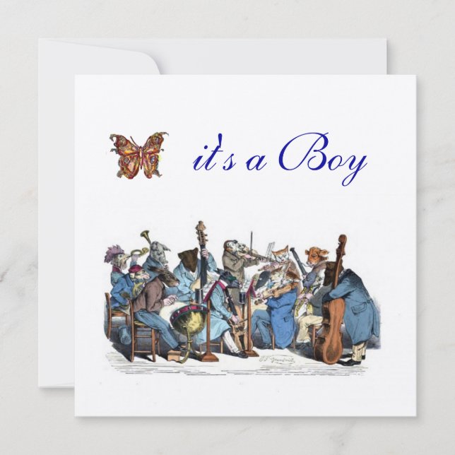 ANIMAL FARM ORCHESTRA BUTTERFLY BOY BABY SHOWER INBJUDNINGAR (Framsida)