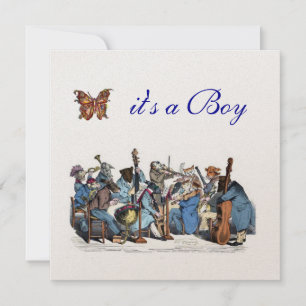 ANIMAL FARM ORCHESTRA BUTTERFLY BOY BABY SHOWER INBJUDNINGAR