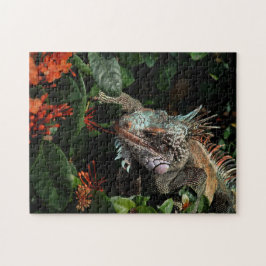 Animal Iguana Exotic Reptile Pet Lizard USVI Pussel