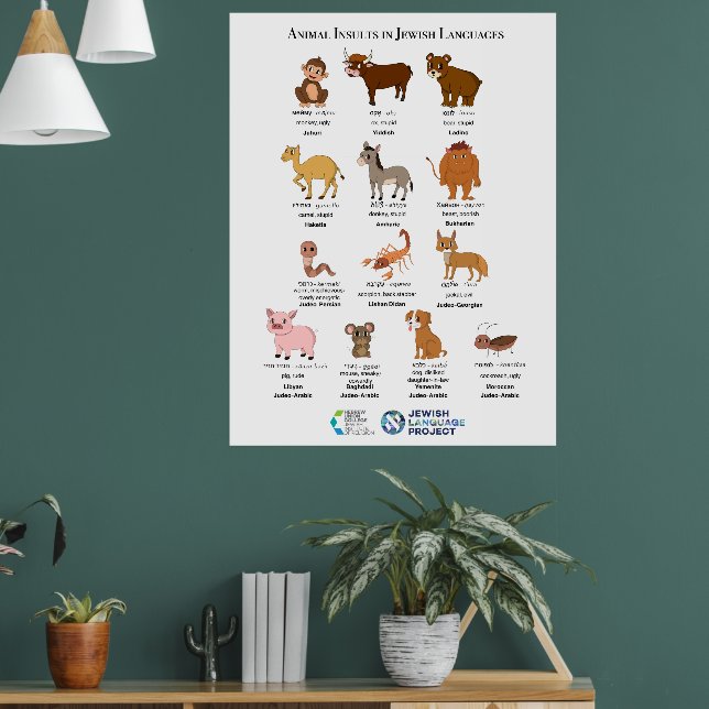 Animal Insults in Jewish Languages Poste Poster (Vardagsrum 1)