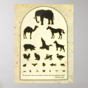 Animal Öga Chart ~ Leonardo da Vinci-citat Poster