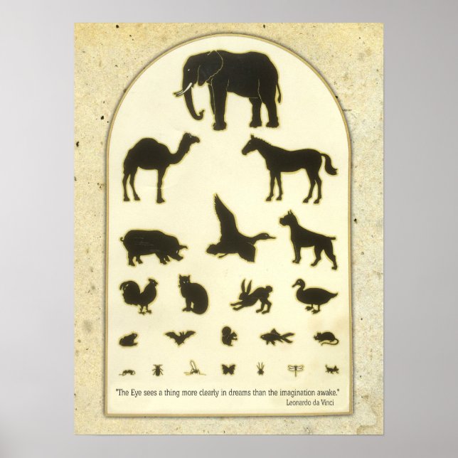 Animal Öga Chart ~ Leonardo da Vinci-citat Poster (Framsidan)