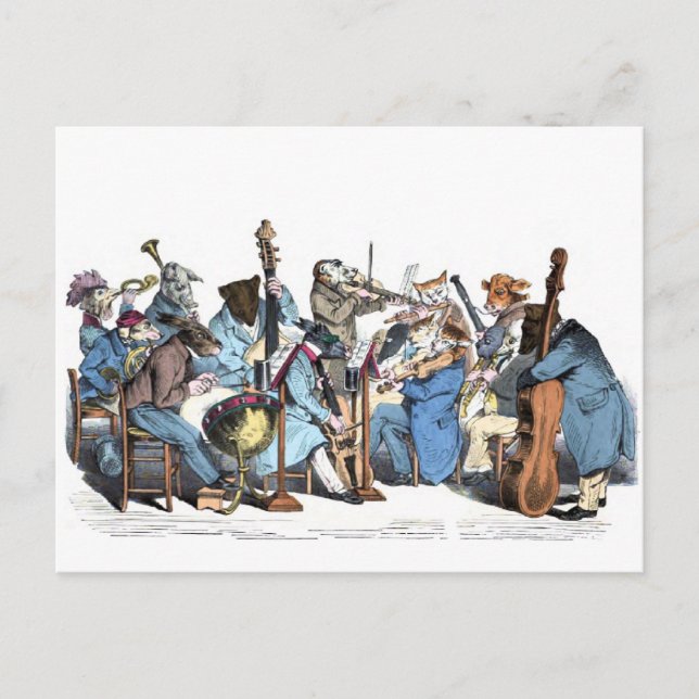 Animal Orchestra Vykort (Framsida)