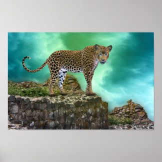 Animal Porträtt Vild katt Poster