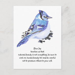 Animal Totem Blue Jay Inspirational Nature Guide Vykort