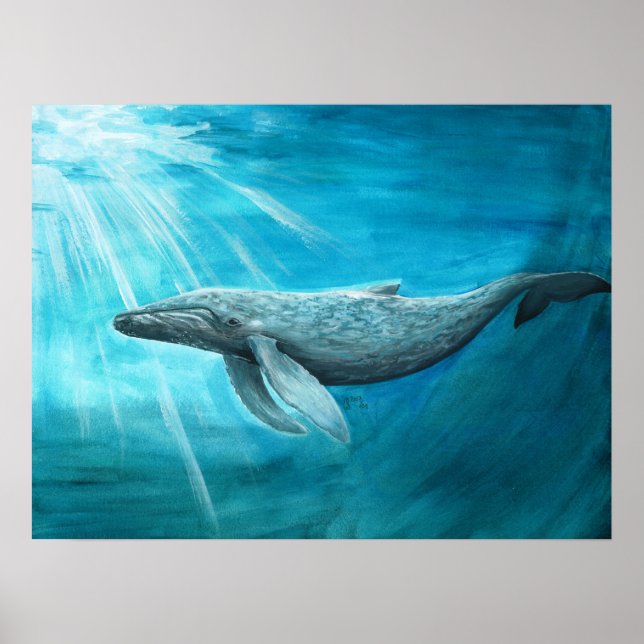 AnimalABC "Blauwal" Poster (Framsidan)