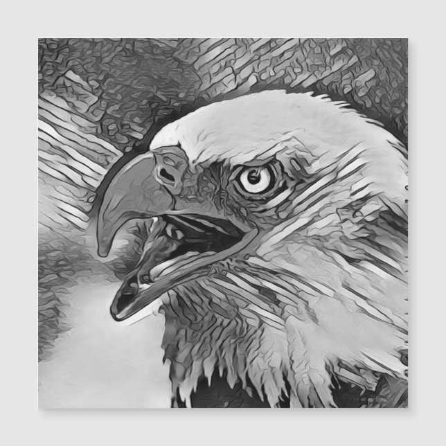 AnimalArtBW_Bird_002 (Framsida)
