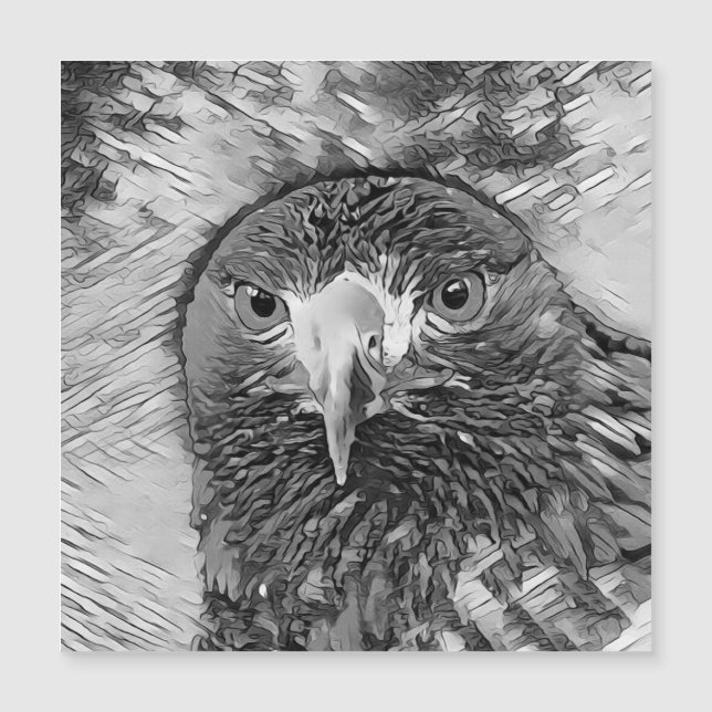 AnimalArtBW_Bird_003 (Framsida)