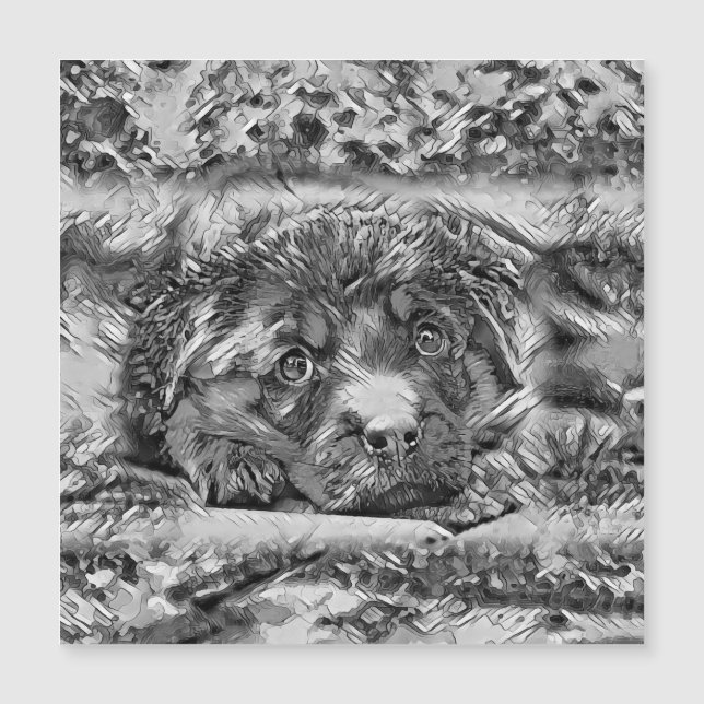 AnimalArtBW_Hund_001 (Framsida)