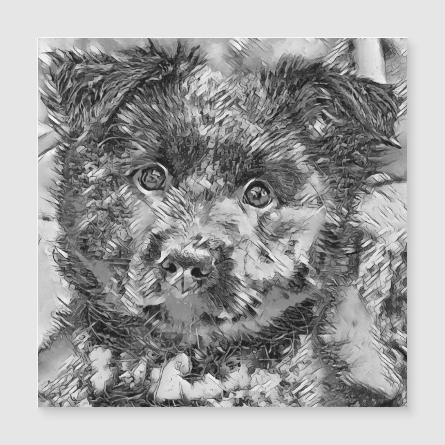 AnimalArtBW_Hund_005 (Framsida)