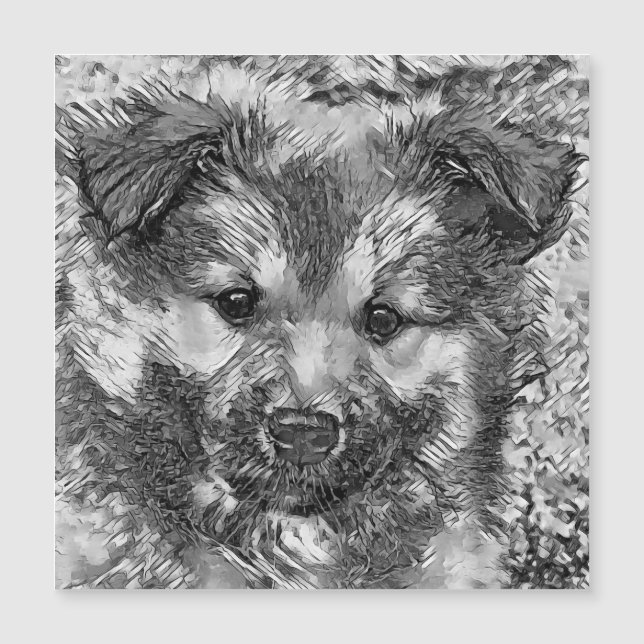 AnimalArtBW_Hund_008 (Framsida)