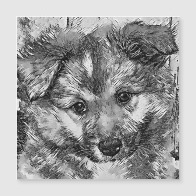AnimalArtBW_Hund_010 (Framsida)