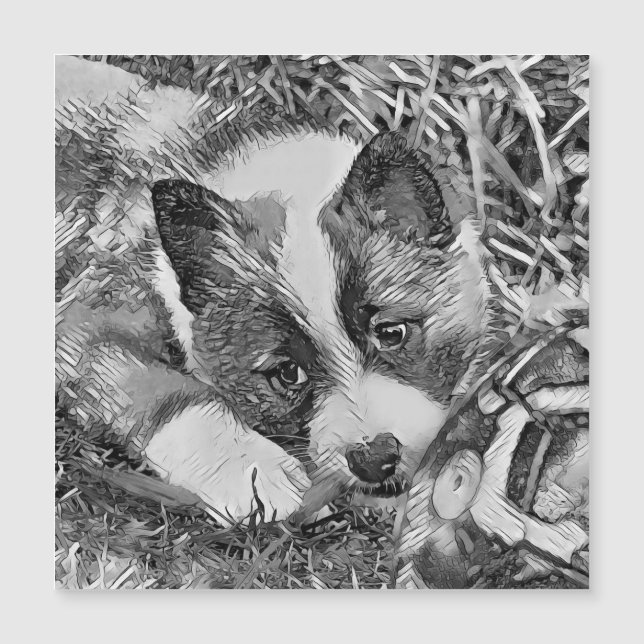 AnimalArtBW_Hund_012 (Framsida)