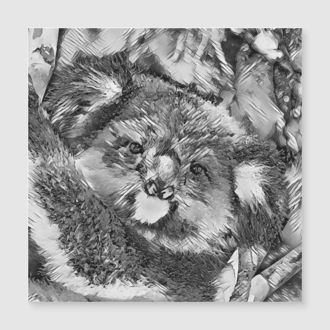 AnimalArtBW_Koala_001 (Framsida)