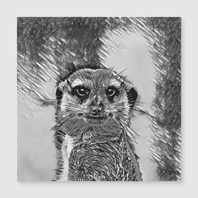 AnimalArtBW_Meerkat_002 (Framsida)