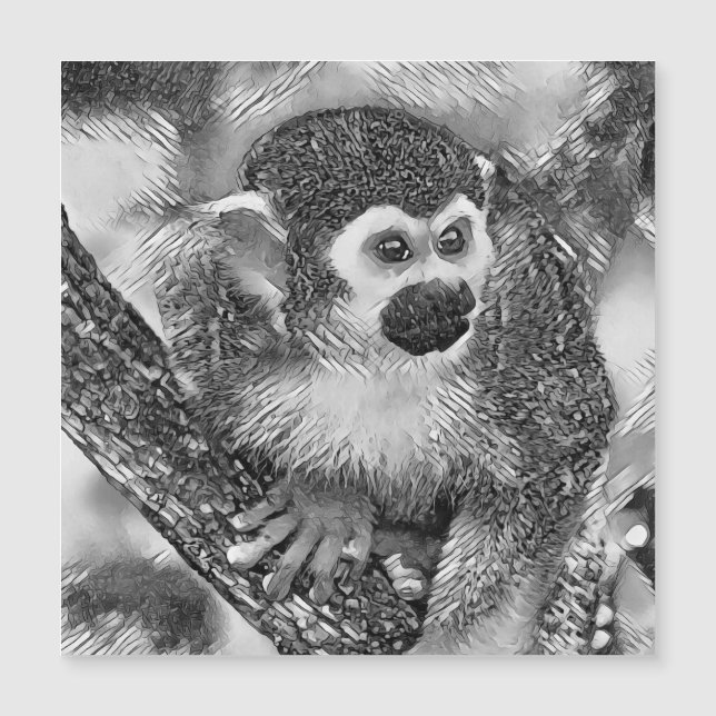 AnimalArtBW_Monkey_002 (Framsida)