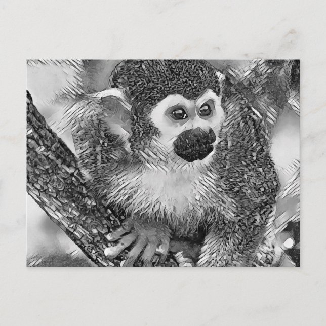 AnimalArtBW_Monkey_002 Vykort (Framsida)