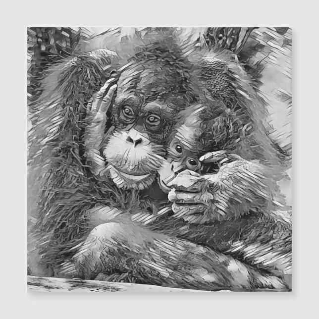 AnimalArtBW_OrangUtan_001 (Framsida)