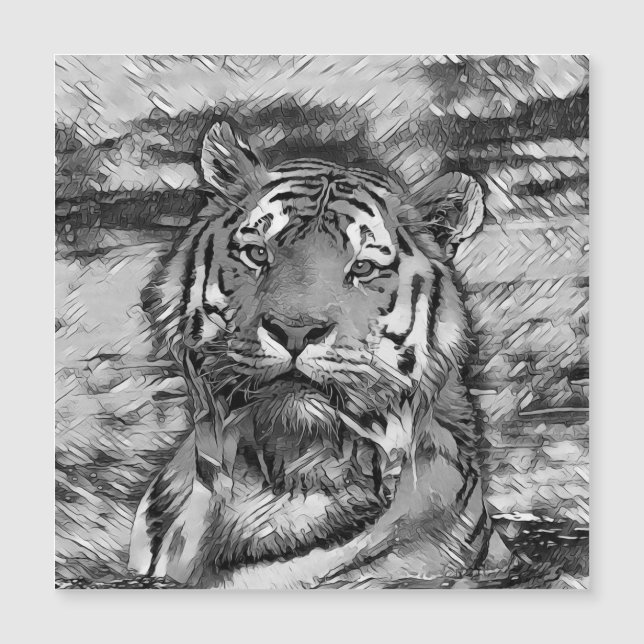 AnimalArtBW_Tiger_004 (Framsida)