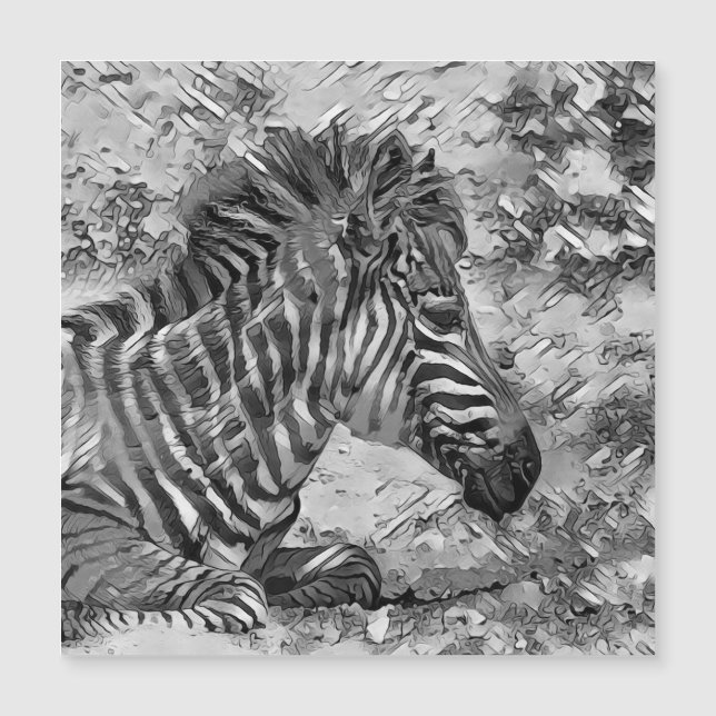 AnimalArtBW_Zebra_001 (Framsida)