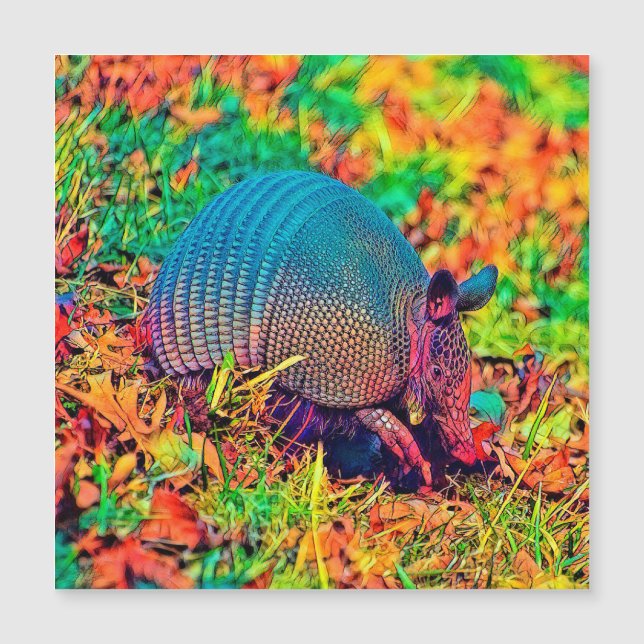 AnimalColor_Armadillo_001 (Framsida)