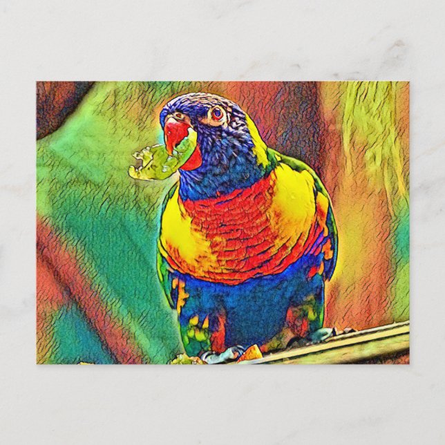 AnimalColor_Bird_07 Vykort (Framsida)