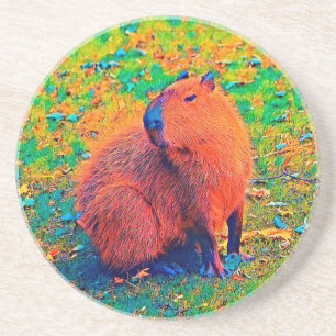 AnimalColor_Capybara_008 Underlägg