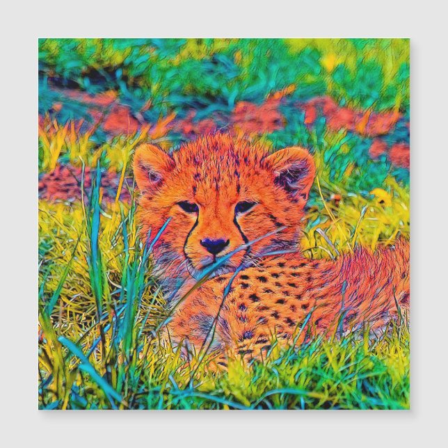 AnimalColor_Cheetah_017 (Framsida)