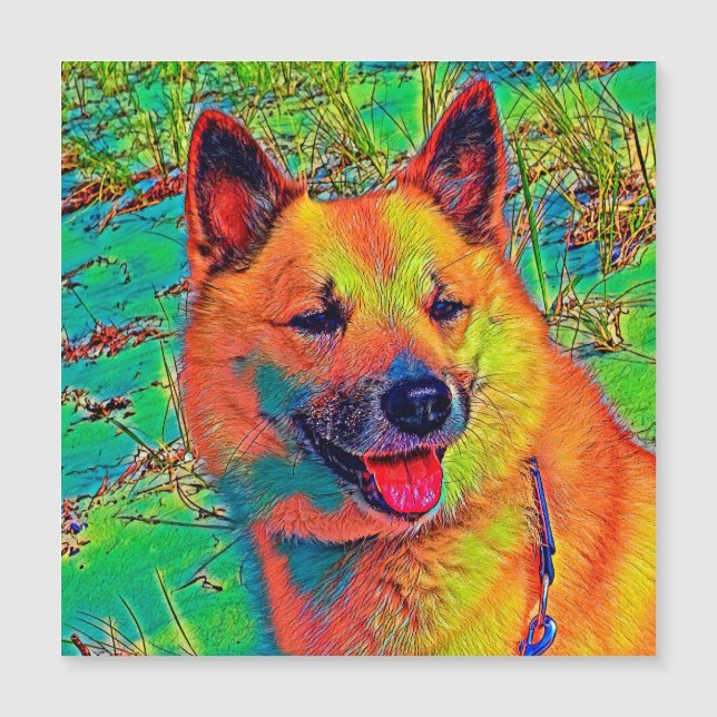 AnimalColor_Dog_014 (Framsida)