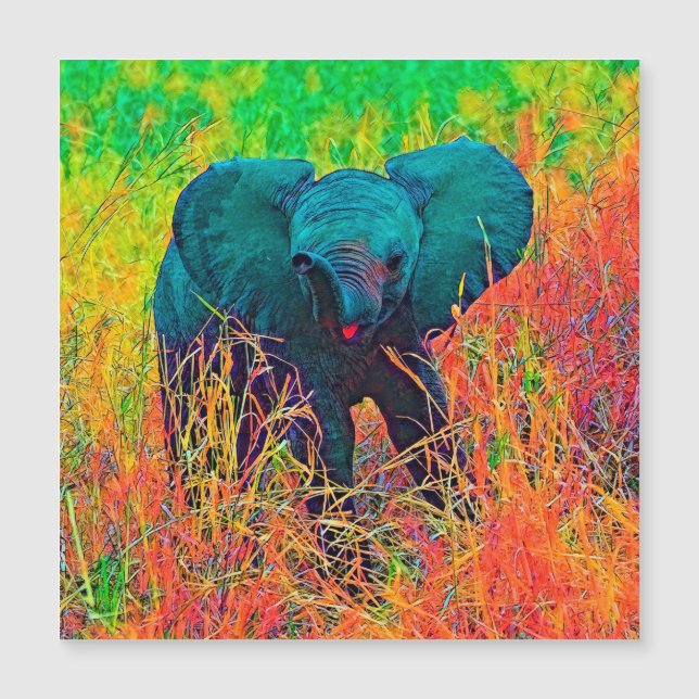 AnimalColor_Elephant_002 (Framsida)