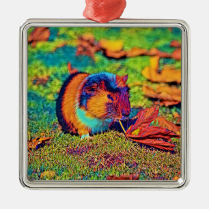 AnimalColor_Guineapig_001_by_JAMColors Julgransprydnad Metall