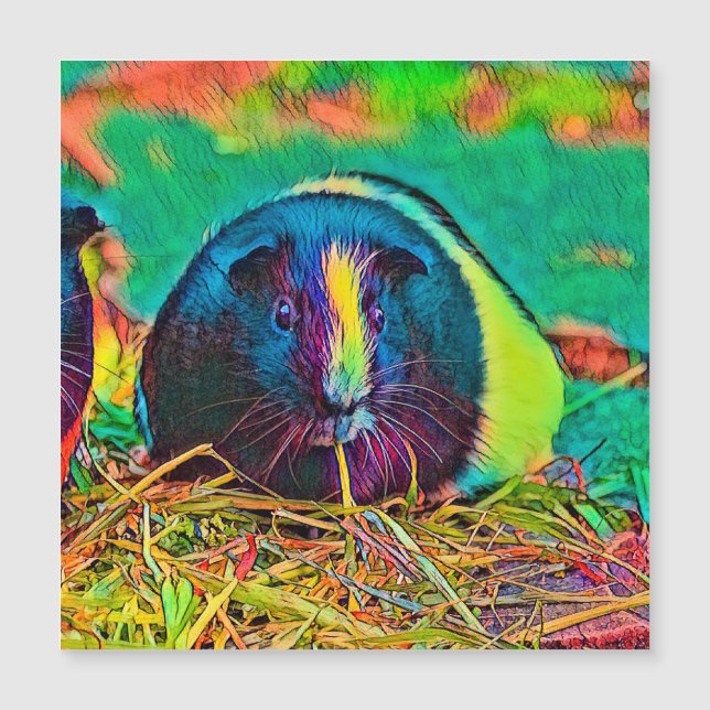 AnimalColor_Guineapig_002 (Framsida)