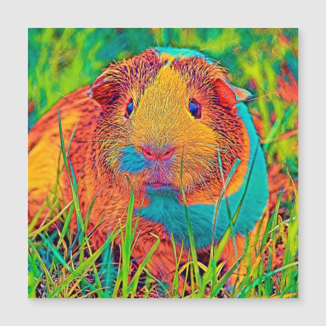 AnimalColor_Guineapig_017 (Framsida)
