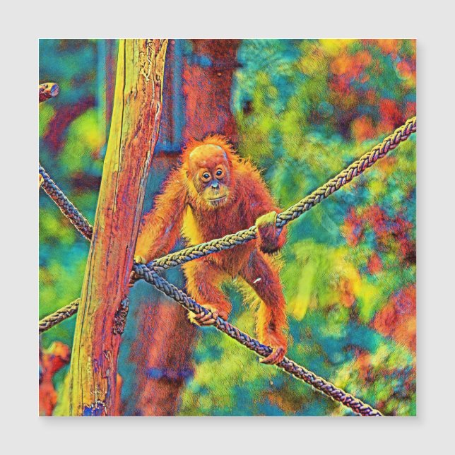 AnimalColor_OrangUtan_014 (Framsida)