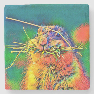 AnimalColor_Prairiedog_004 Stenunderlägg