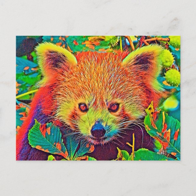AnimalColor_RedPanda_001 Vykort (Framsida)