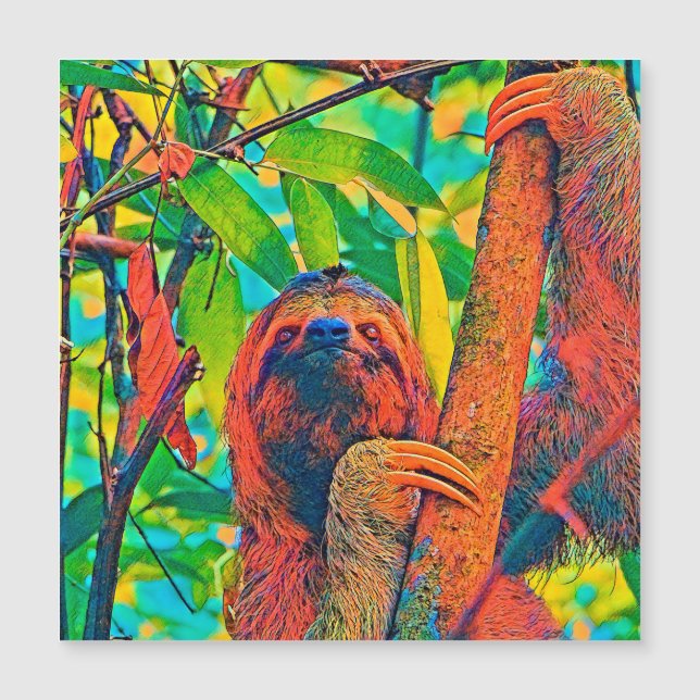 AnimalColor_Sloth_003 (Framsida)