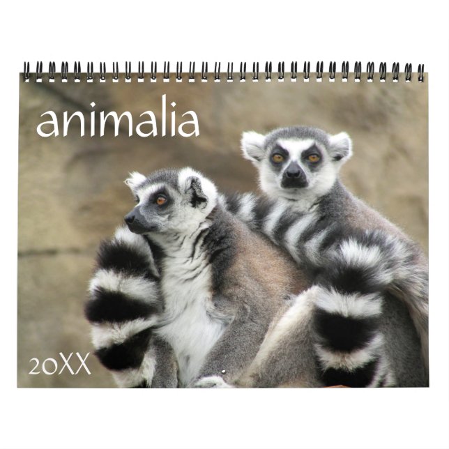 animalia 2025 kalender (Omslag)