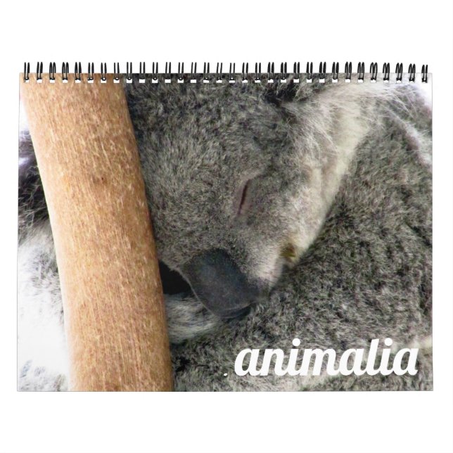 animalia 2027 kalender (Omslag)