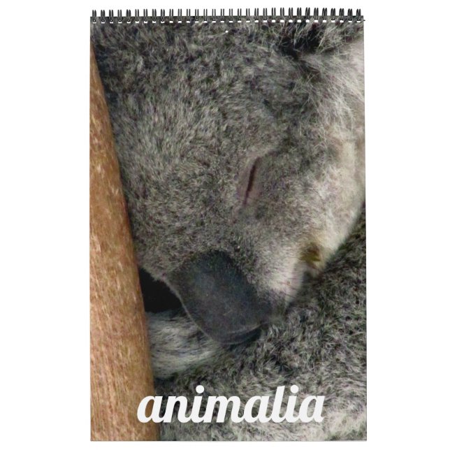 animalia kalender (Omslag)